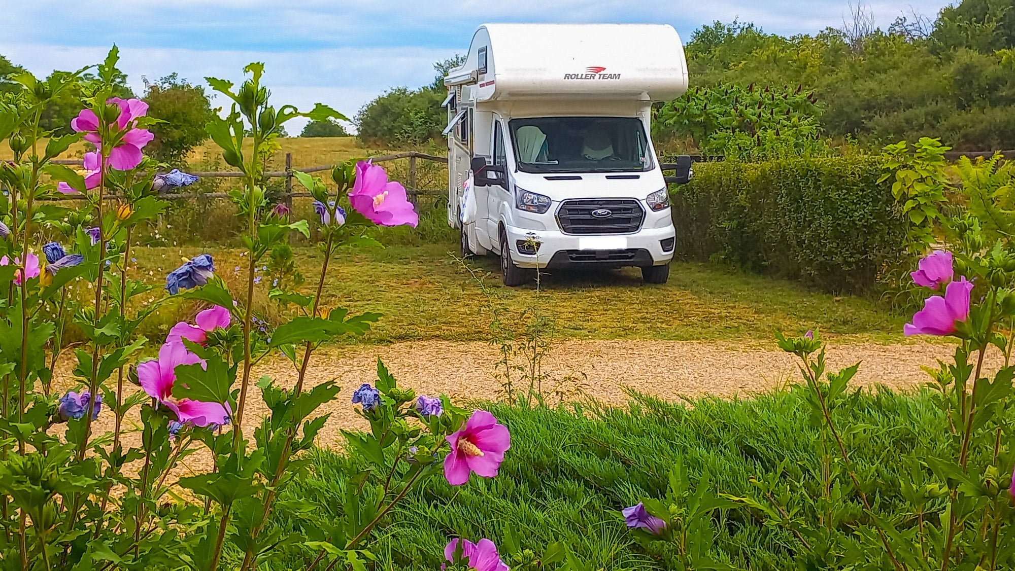 Motorhome with pink flowers in the foreground.